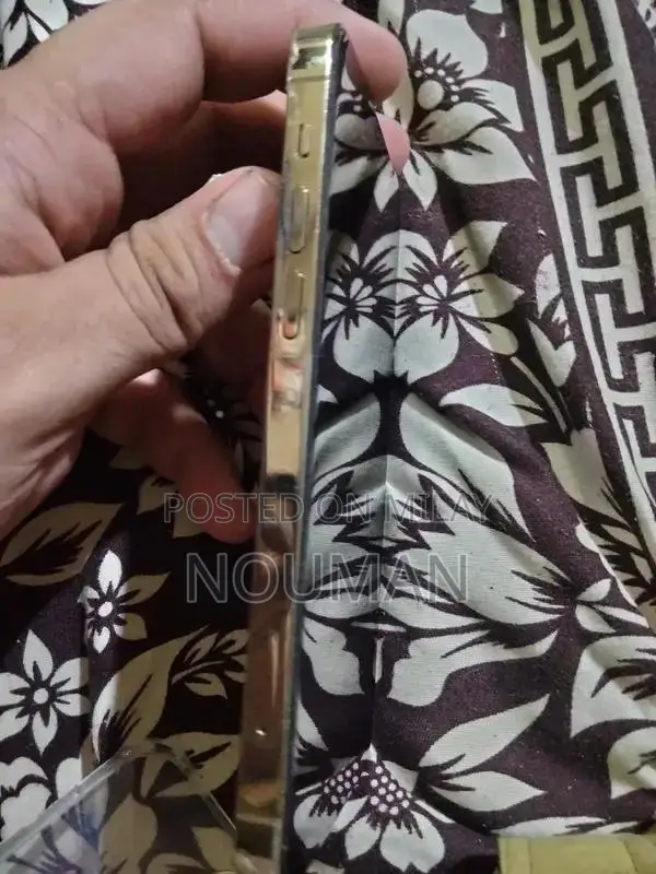 iPhone 12 Pro Unlocked Smartphone with High Capacity Storage