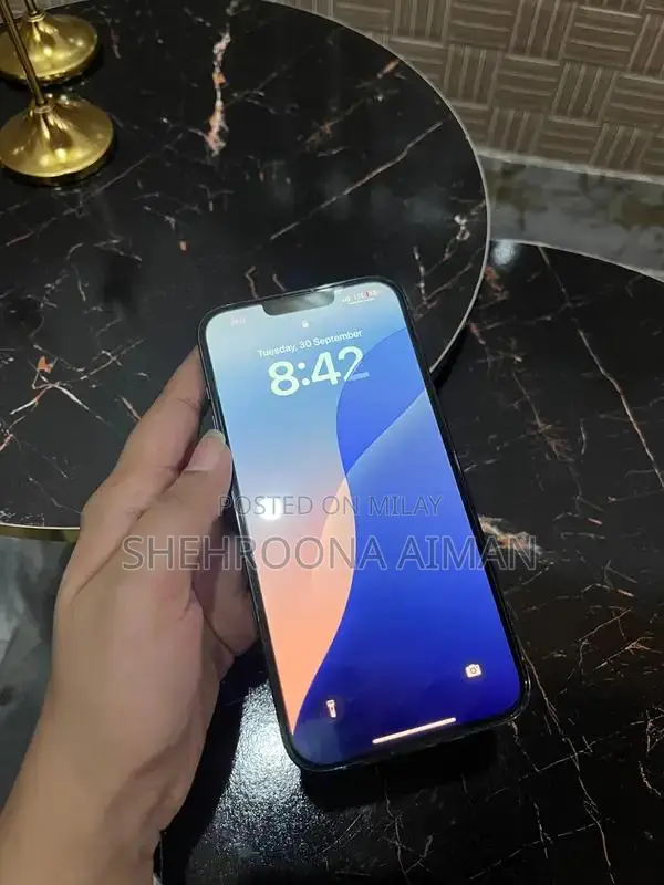 256GB Sierra Blue Pro Max Smartphone, Factory Unlocked