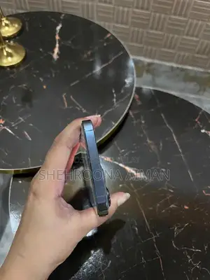 256GB Sierra Blue Pro Max Smartphone, Factory Unlocked