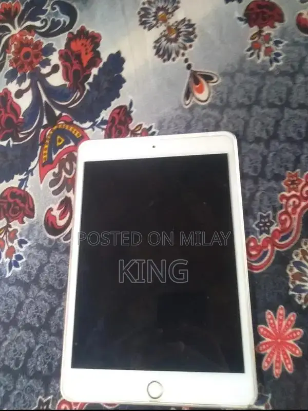 iPad Mini 5 Charging Panel Malfunction Repair