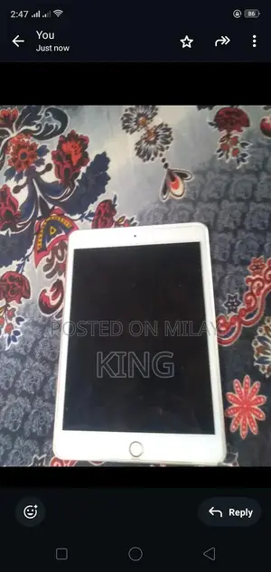 iPad Mini 5 Charging Panel Malfunction Repair