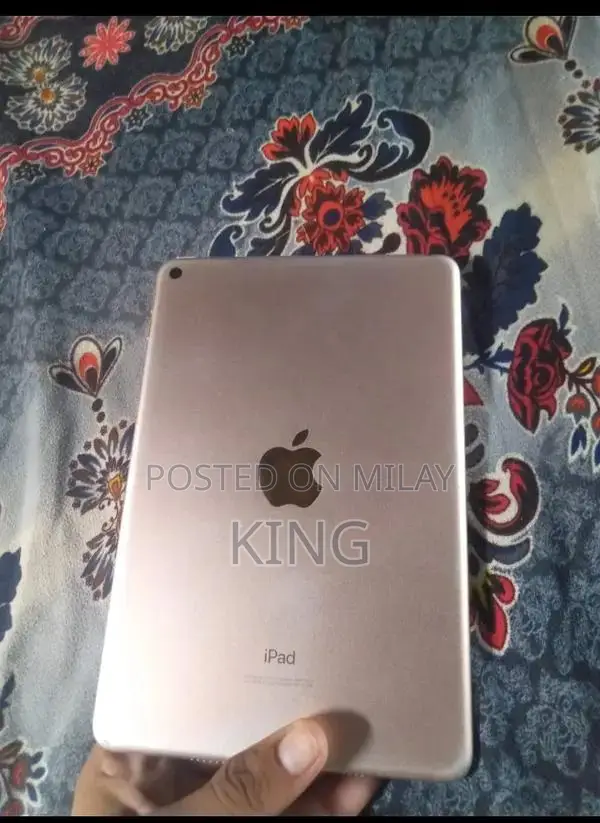 iPad Mini 5 Charging Panel Malfunction Repair