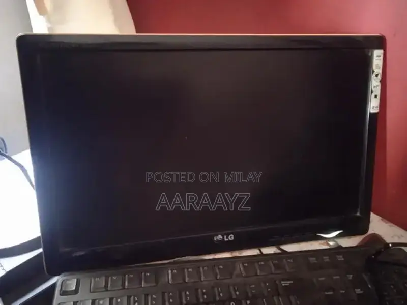 LG 19-Inch Wide LED Computer Monitor