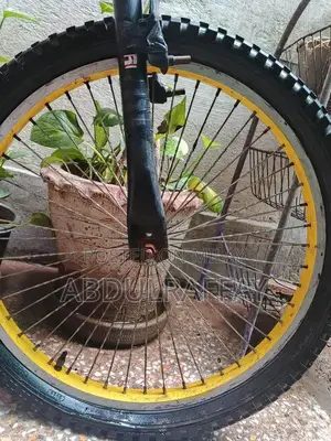 Only Bicycle Equipment Limited Edition Basic Model