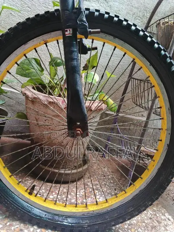 Only Bicycle Equipment Limited Edition Basic Model