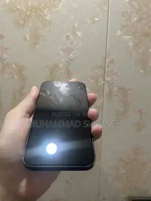 Apple iPhone 12 256GB Dual SIM Smartphone