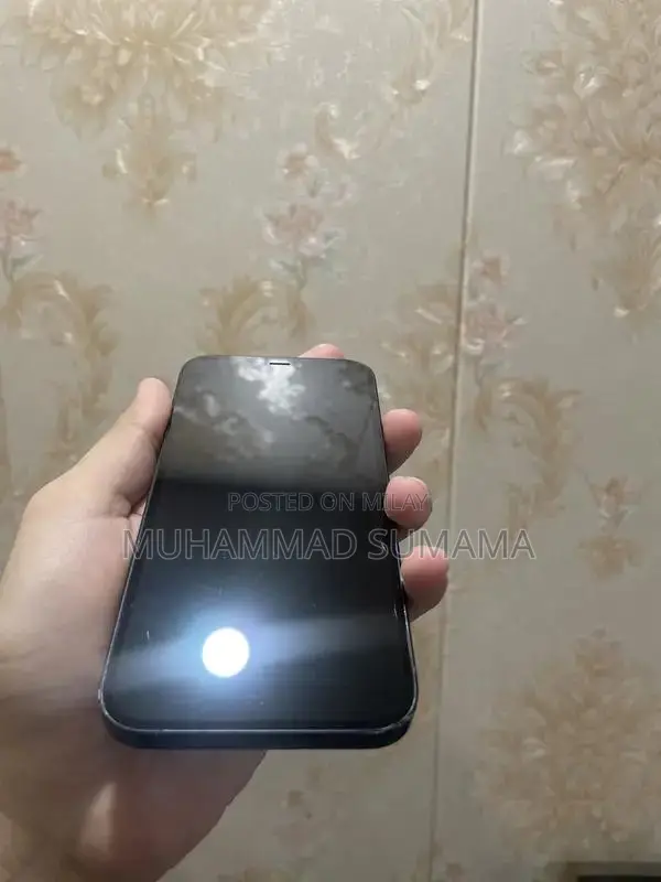 Apple iPhone 12 256GB Dual SIM Smartphone