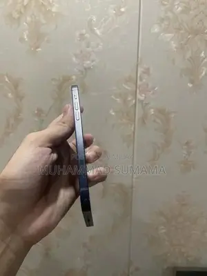 Apple iPhone 12 256GB Dual SIM Smartphone