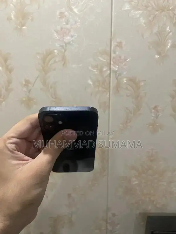 Apple iPhone 12 256GB Dual SIM Smartphone