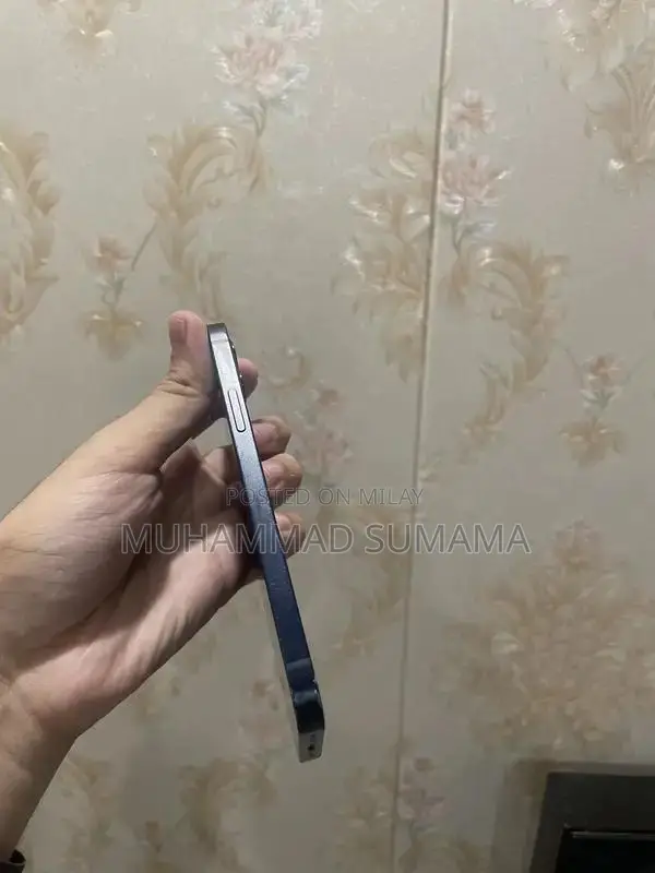 Apple iPhone 12 256GB Dual SIM Smartphone