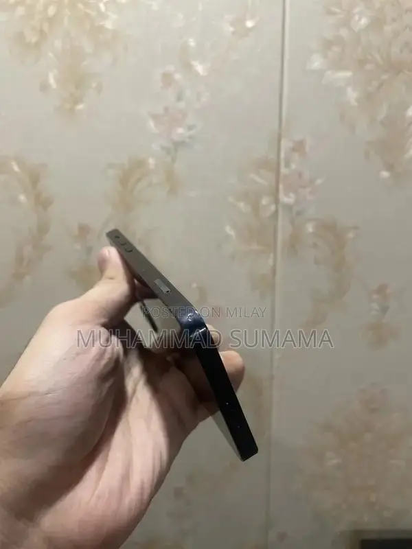 Apple iPhone 12 256GB Dual SIM Smartphone