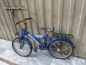 Photo - 20-Inch Bicycle in Good Condition, Minor Repairs Needed