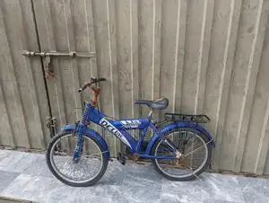 20-Inch Bicycle in Good Condition, Minor Repairs Needed