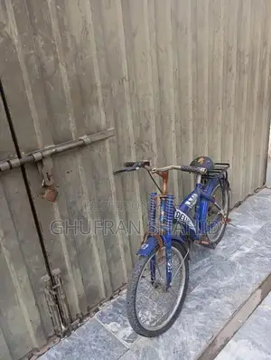 20-Inch Bicycle in Good Condition, Minor Repairs Needed