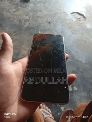 Mobile Device with Panel Change and Memory Upgrade