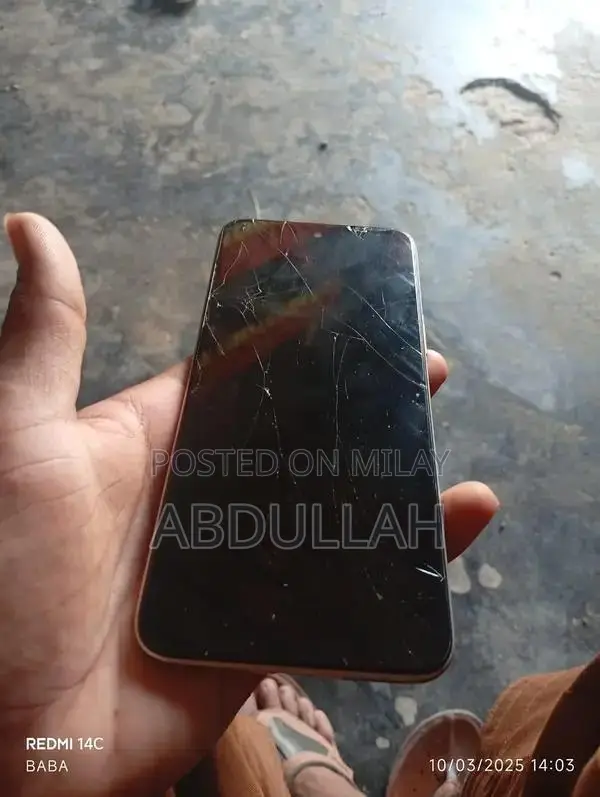 Mobile Device with Panel Change and Memory Upgrade