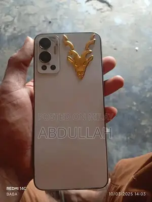 Mobile Device with Panel Change and Memory Upgrade