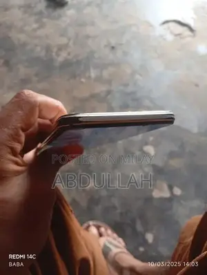 Mobile Device with Panel Change and Memory Upgrade