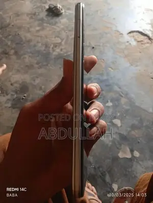 Mobile Device with Panel Change and Memory Upgrade