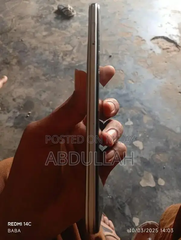 Mobile Device with Panel Change and Memory Upgrade