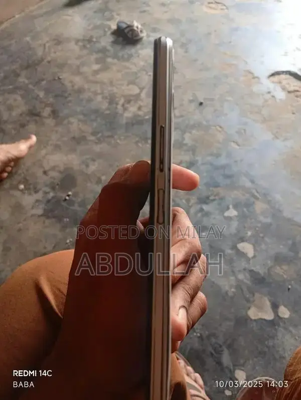 Mobile Device with Panel Change and Memory Upgrade