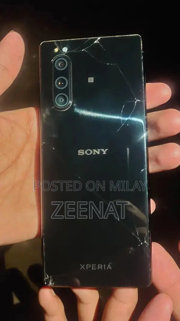 Sony Xperia 5 Smartphone with PTA Panel Damage