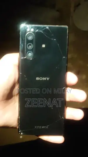 Sony Xperia 5 Smartphone with PTA Panel Damage