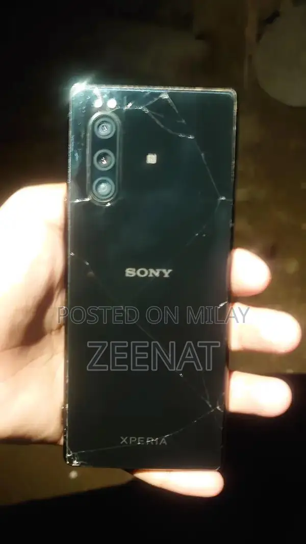 Sony Xperia 5 Smartphone with PTA Panel Damage