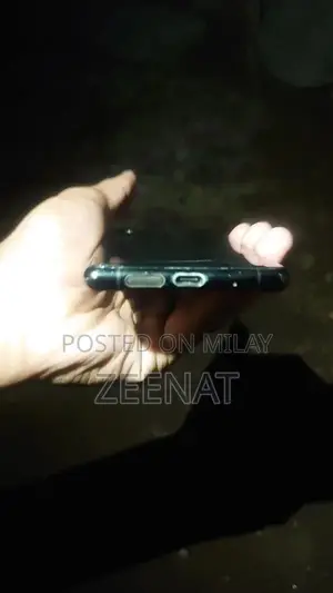 Sony Xperia 5 Smartphone with PTA Panel Damage