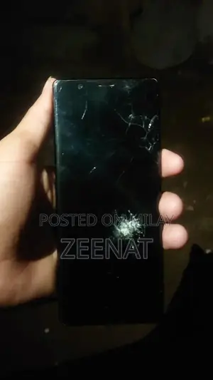 Sony Xperia 5 Smartphone with PTA Panel Damage