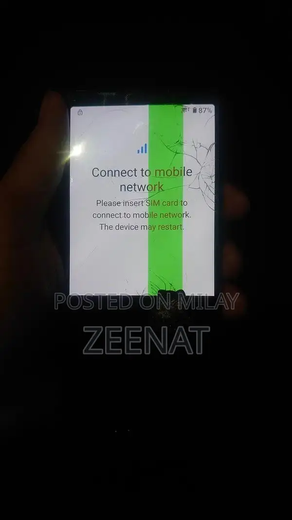 Sony Xperia 5 Smartphone with PTA Panel Damage