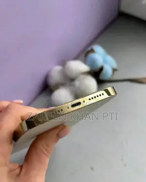 Apple iPhone 12 Pro Max High-Capacity Smartphone