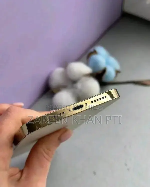 Apple iPhone 12 Pro Max High-Capacity Smartphone