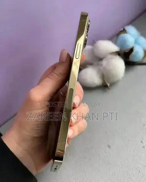 Apple iPhone 12 Pro Max High-Capacity Smartphone