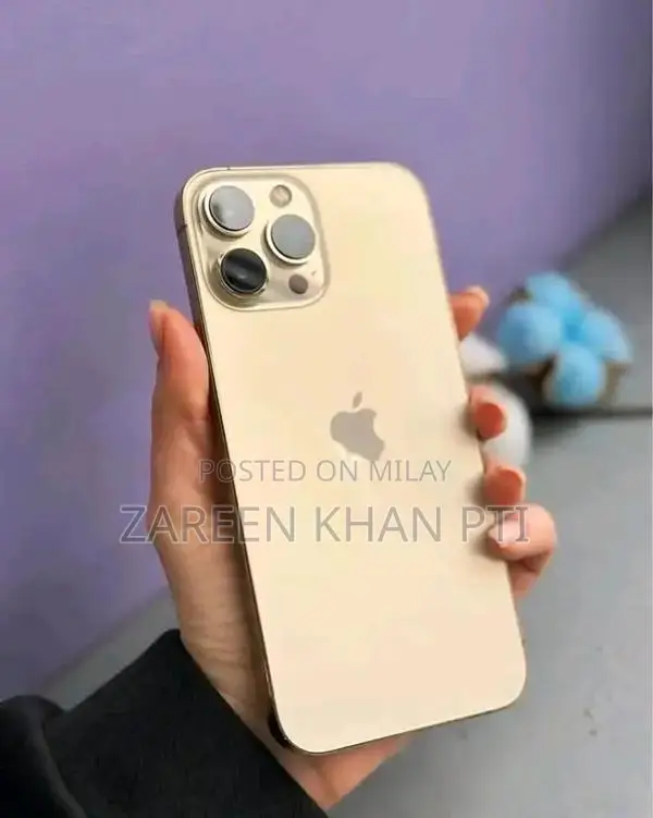 Apple iPhone 12 Pro Max High-Capacity Smartphone