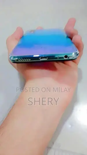 Vivo Y17 Smartphone with Fingerprint Sensor and Quad Camera