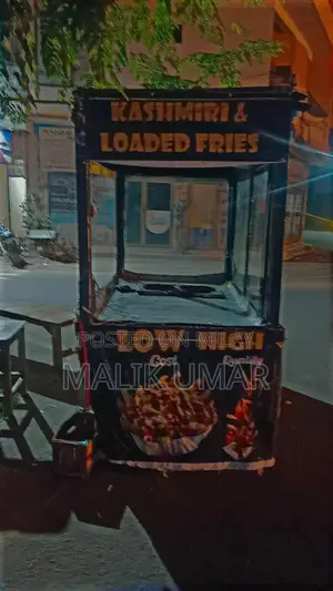 Rahi Fryer Sale - Kitchen Appliance Clearance