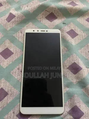 Compact Smartphone with High Storage Capacity