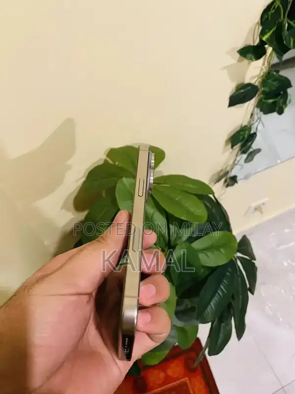 Apple iPhone 16 Pro Titanium Smartphone 128GB Unlocked