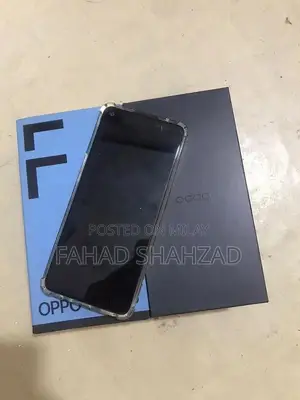 Mid-Range Smartphone with Ample Storage and Complete Package