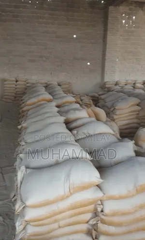 Photo - Pure Plaster Paris