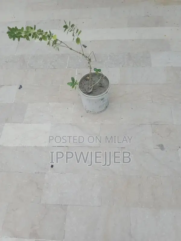 Decorative Floral Item for Home or Garden Decor