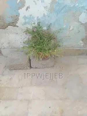 Decorative Floral Item for Home or Garden Decor