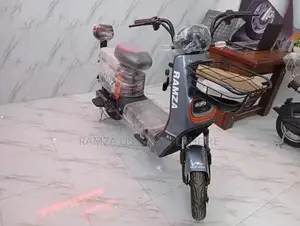 Ramza ZI Electric Paddler Kids Ride-On Vehicle