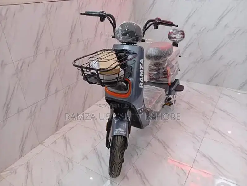 Ramza ZI Electric Paddler Kids Ride-On Vehicle