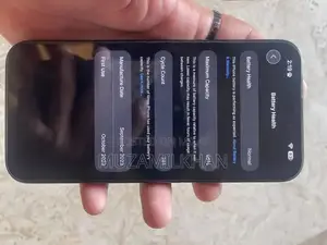 Apple iPhone 15 Pro Max 256GB Unlocked Smartphone