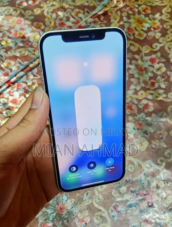 Unlocked iPhone with Original Panel and True Tone