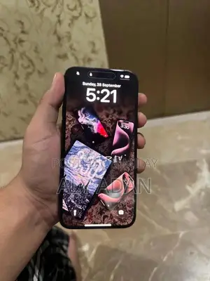 Blue Titanium 256GB Pro Max Smartphone