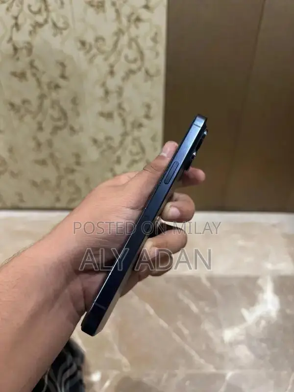 Blue Titanium 256GB Pro Max Smartphone