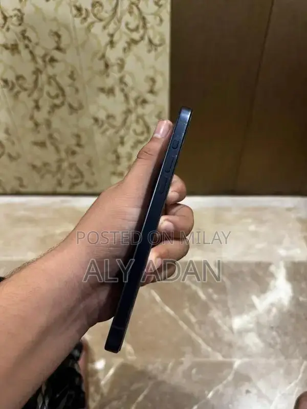 Blue Titanium 256GB Pro Max Smartphone